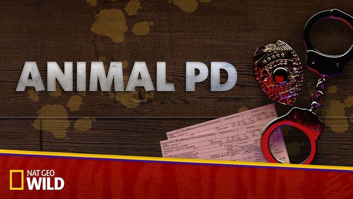 Title logo for the Nat Geo Wild series Animal PD. Below the title are a badge, criminal citations, and a pair of handcuffs.